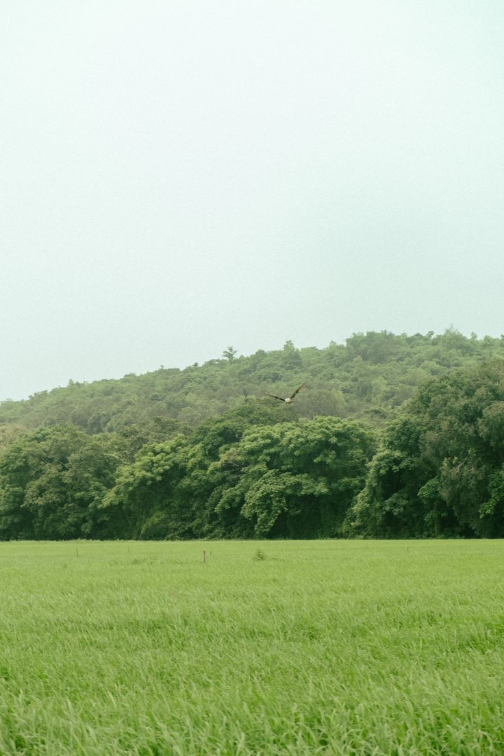 HP2 Plot - 4,000 sqm
