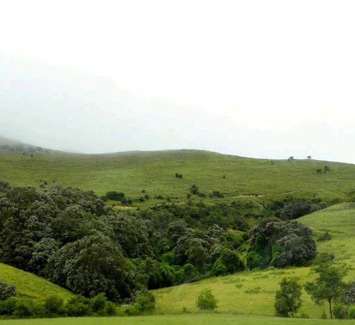 HP3 Plot - 20,000 sqm